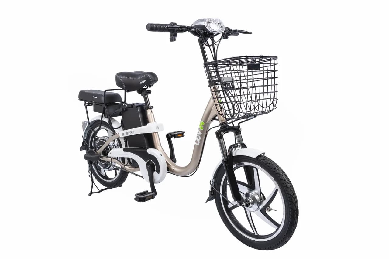 Lev E.Bike