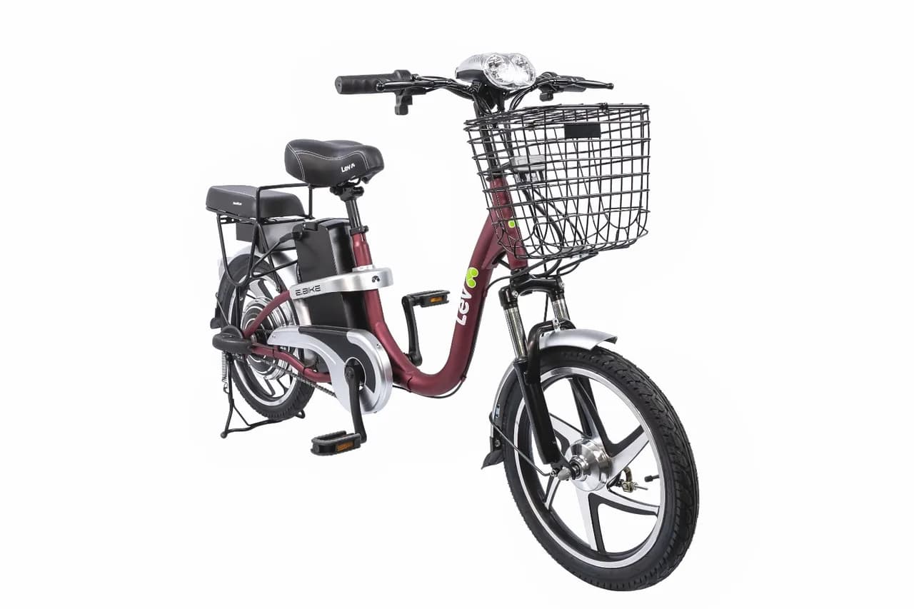 Lev E.Bike
